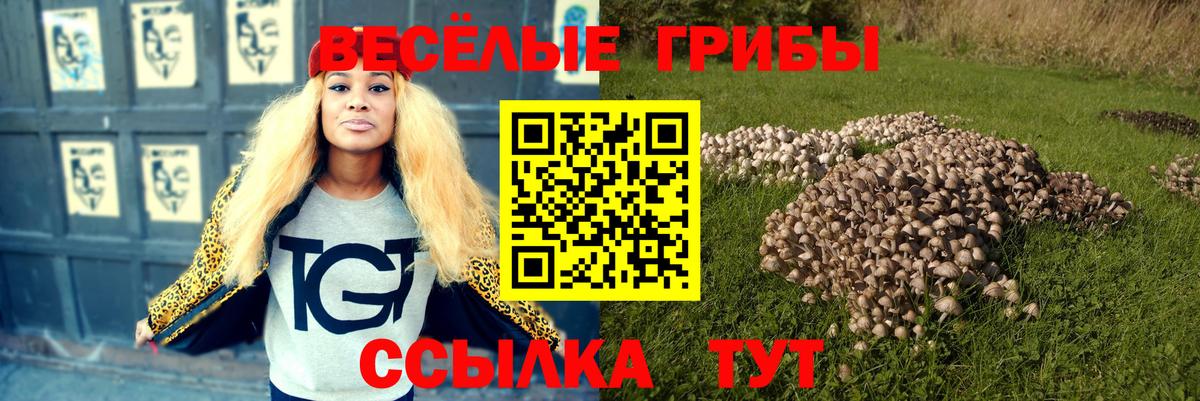 купить   Вход с VPN  Галлюциногенные грибы Cubensis  Грязи  Галлюциногенные грибы Psilocybine cubensis 