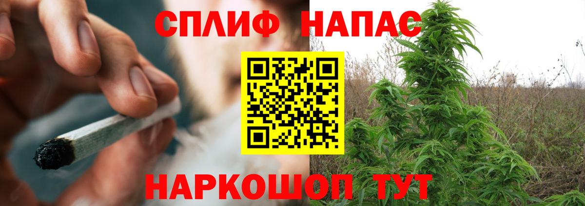Бошки марихуана Bruce Banner  Вход с VPN  Грязи  Бошки Шишки White Widow  МАРИХУАНА конопля 